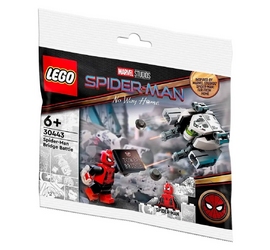 Конструктор LEGO Super Heroes 30443 