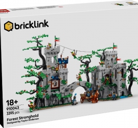Конструктор LEGO Bricklink 910043 
