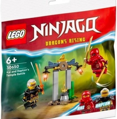 Конструктор LEGO Ninjago 30650 "Битва Кая и Раптона в храме"