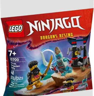 Конструктор LEGO Ninjago 30700 "Арин против Драконийца"